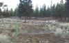 Three Pines, Bend, OR OR 97701