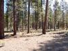56376 Fireglass, Bend, OR OR 97707